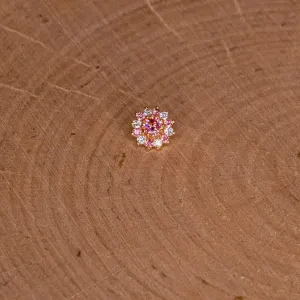 13-Stone Round Cluster in Rose Gold (7mm)